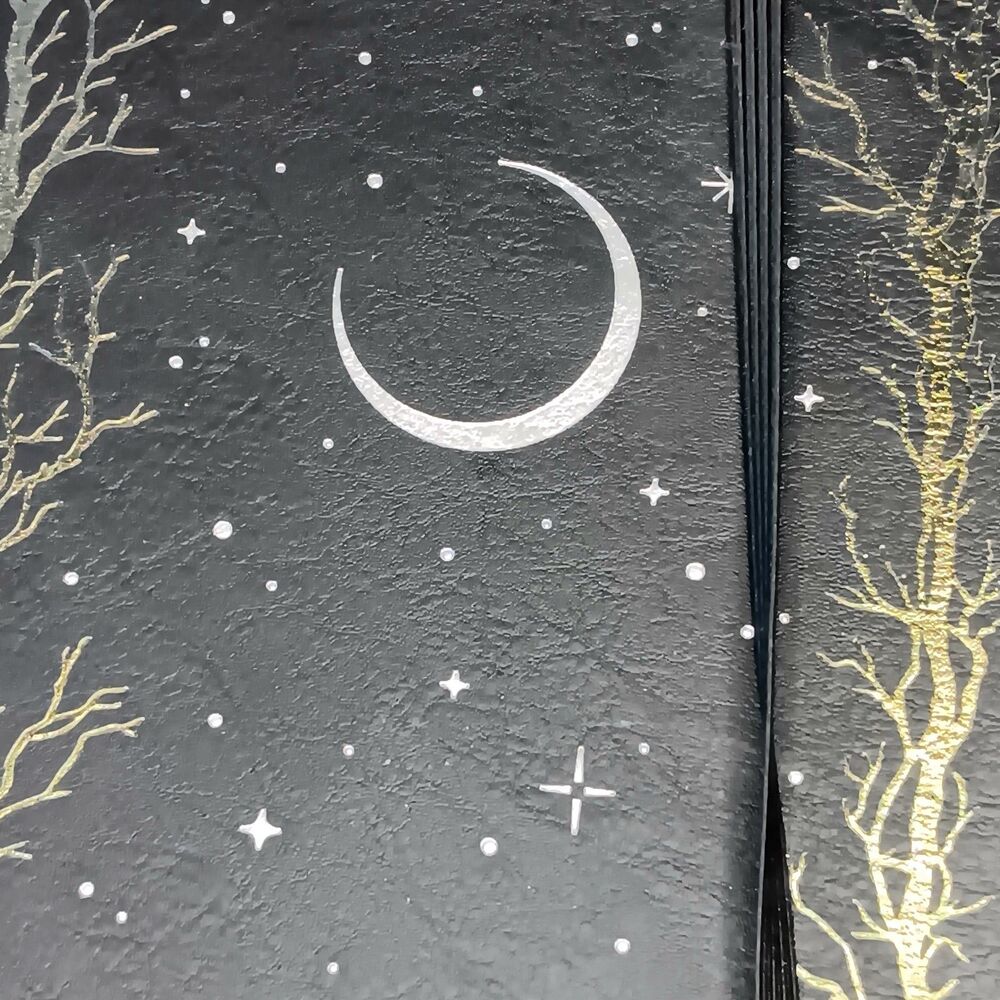 Archer & Olive Haunted Hollow Journal Black W/ Silver Moon & Stars Dot Grid New - Picture 12 of 15